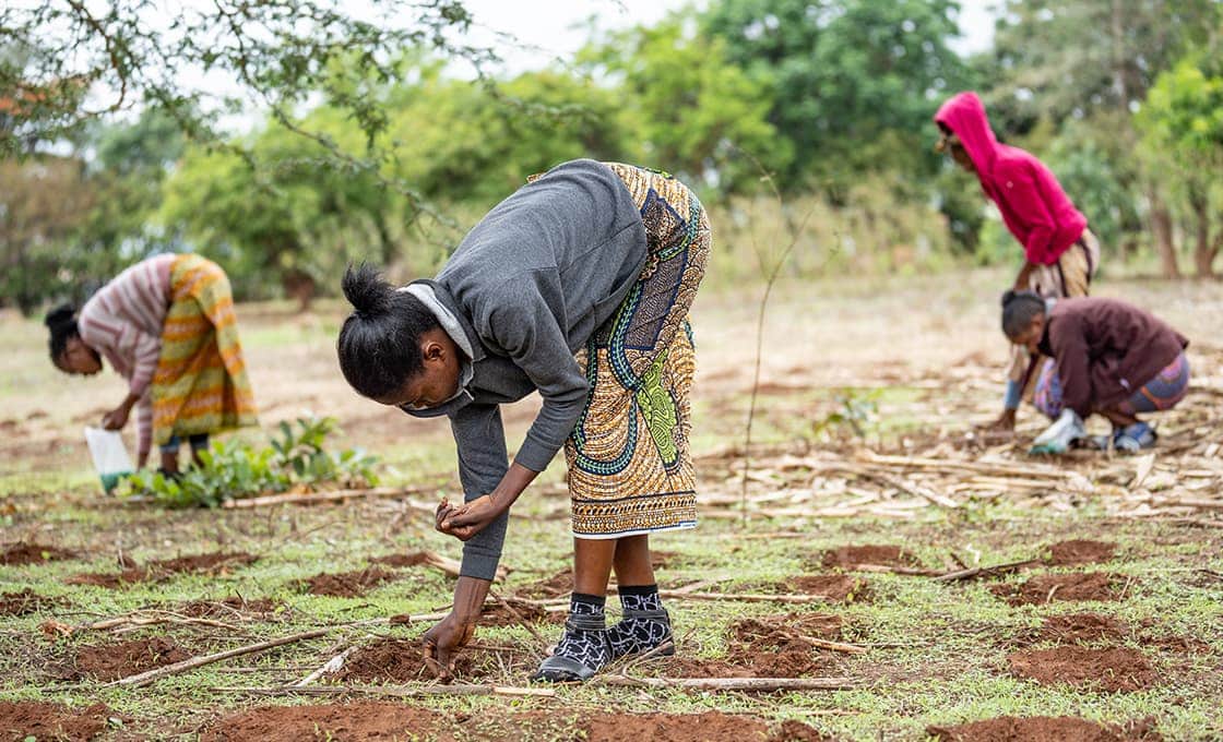 stiftung-foerdert-projekte-in-sambia