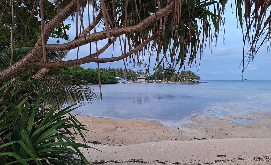 Ein tropischer Strand mit ruhigem Wasser, herabhängenden Palmzweigen und Gebäuden in der Ferne auf einer kleinen Insel unter blauem Himmel.
